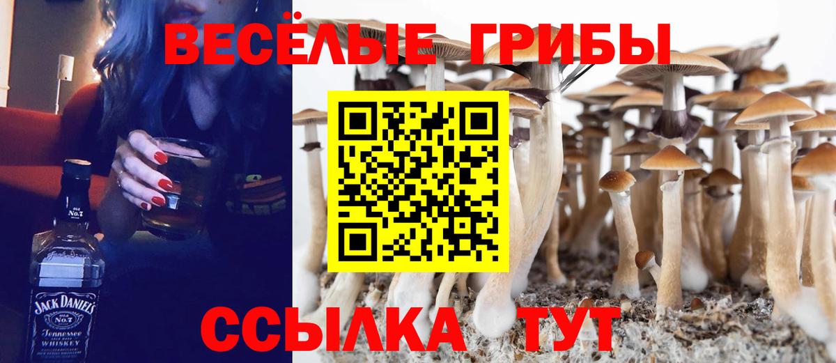 Аксай  Псилоцибиновые грибы Magic Shrooms  Вход с VPN  Галлюциногенные грибы MAGIC MUSHROOMS 